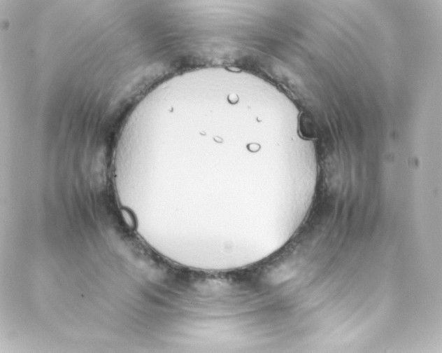 X0000088150594200705291425