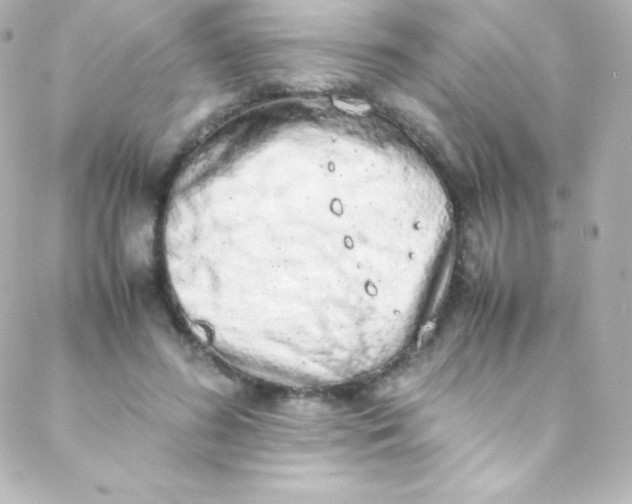 X0000088150596200705291425