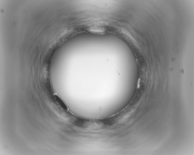 X0000088150597200705291424