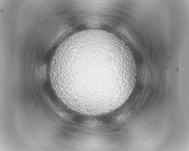 X0000088150598200705291424