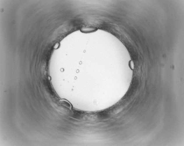 X0000088150599200705291424