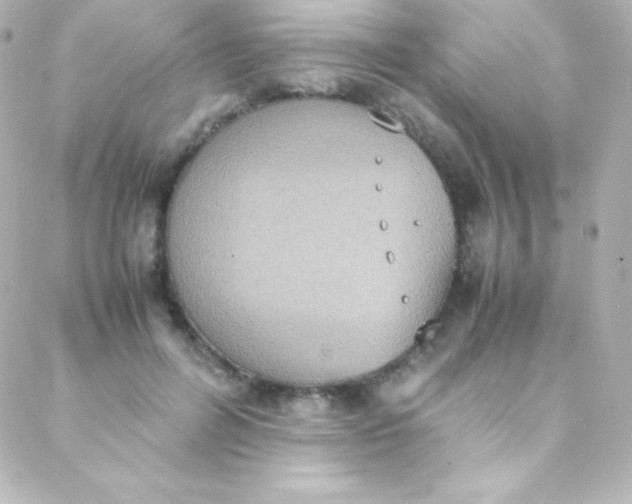 X0000088150600200705291424