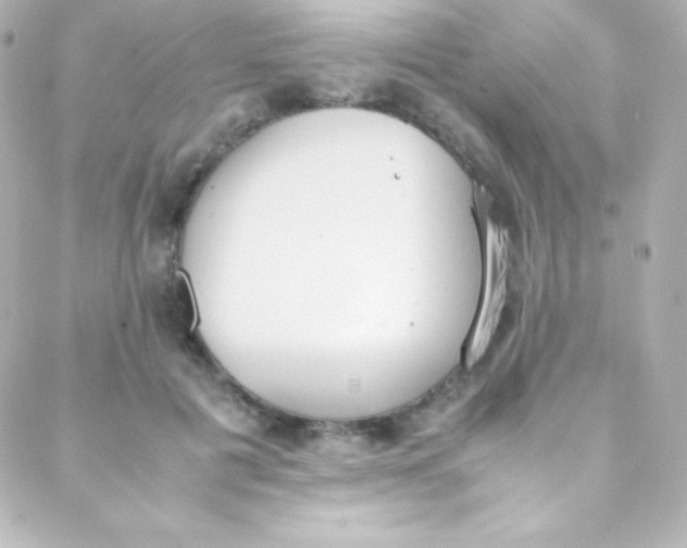 X0000088150601200705291424