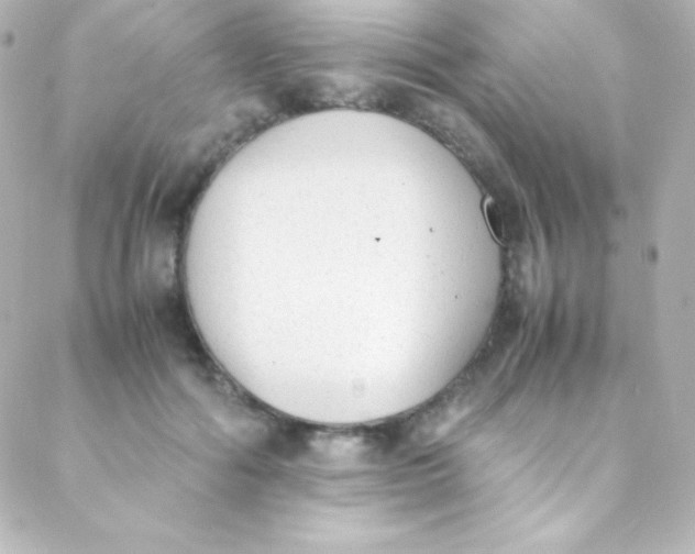 X0000088150602200705291424