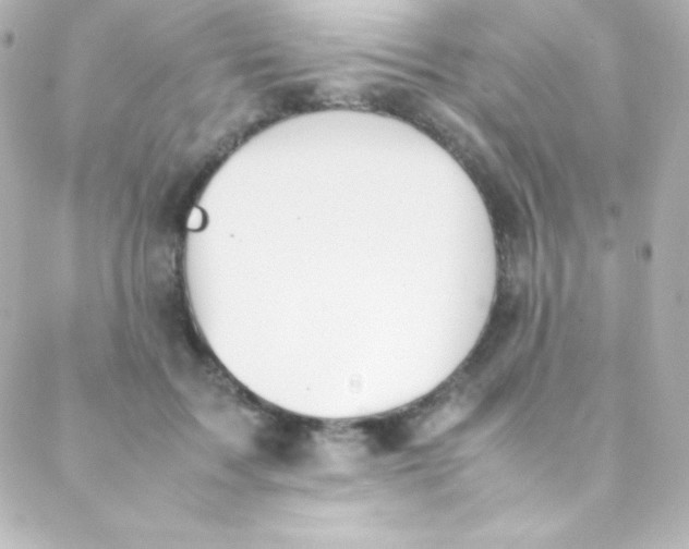 X0000088150603200705291424