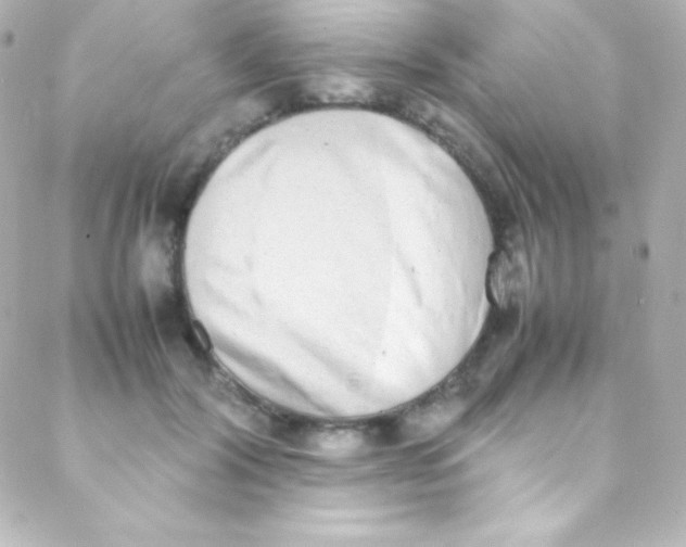 X0000088150604200705291424