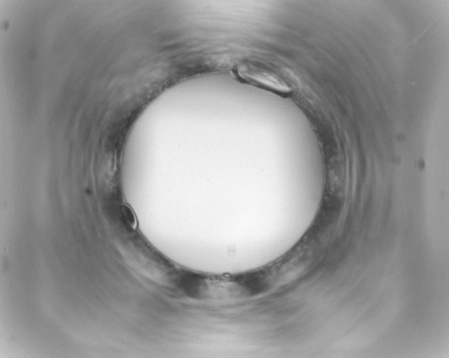 X0000088150605200705291424