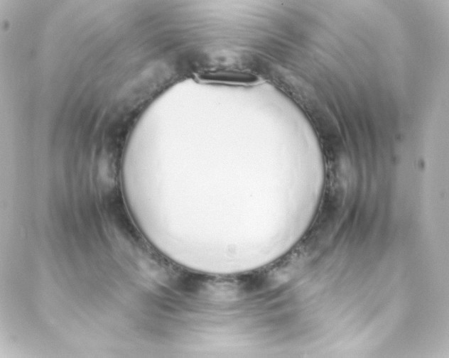 X0000088150606200705291424