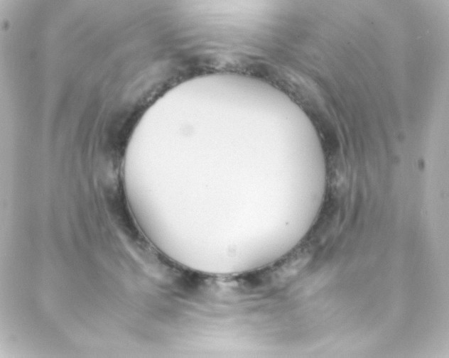 X0000088150607200705291424