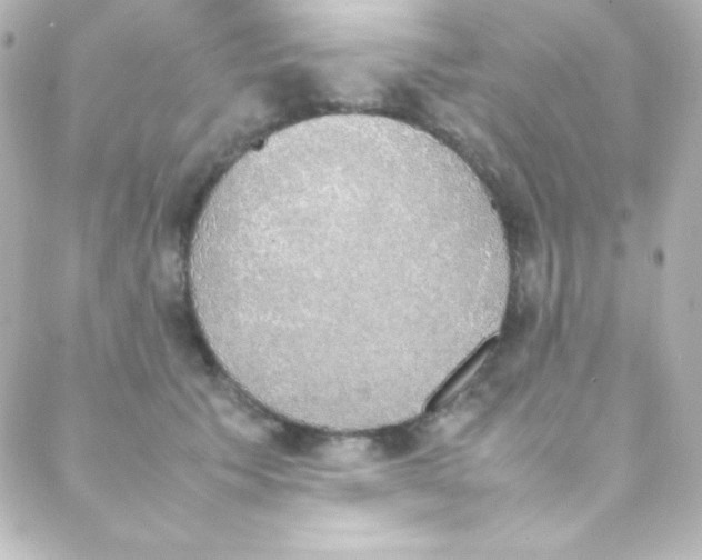 X0000088150609200705291424