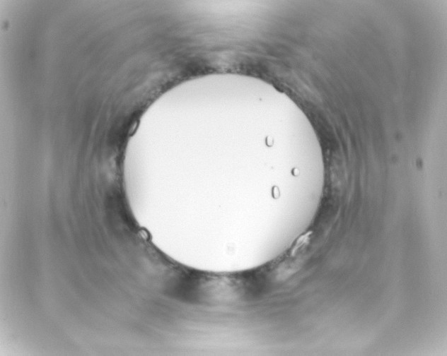 X0000088150611200705291424