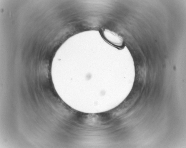 X0000088150612200705291424