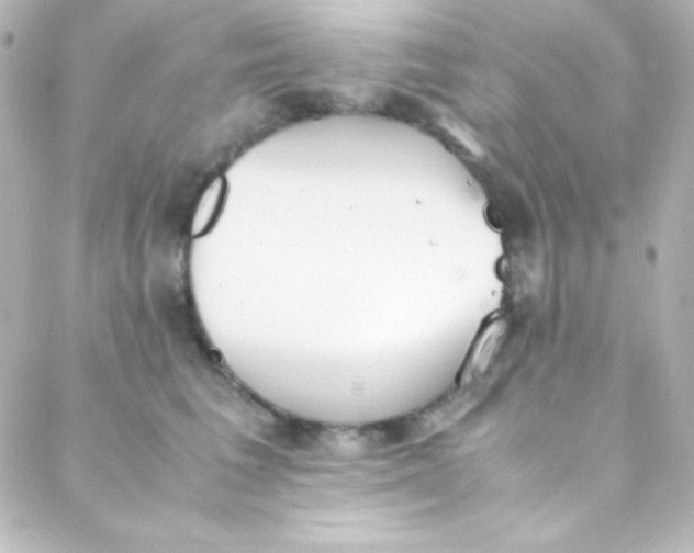 X0000088150613200705291424