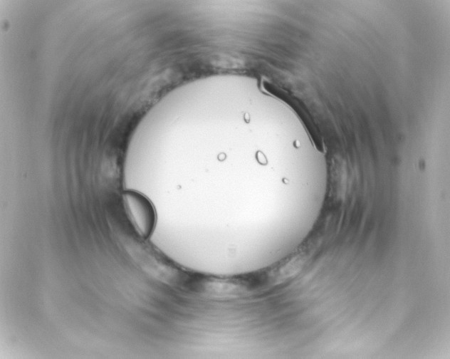 X0000088150614200705291424