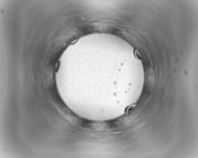 X0000088150615200705291424