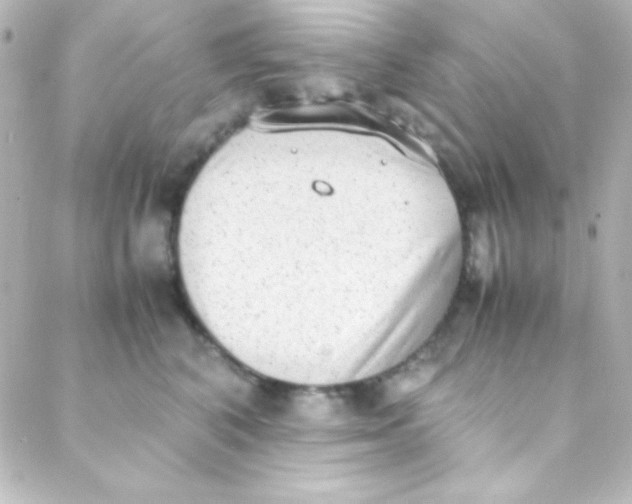 X0000088150616200705291424