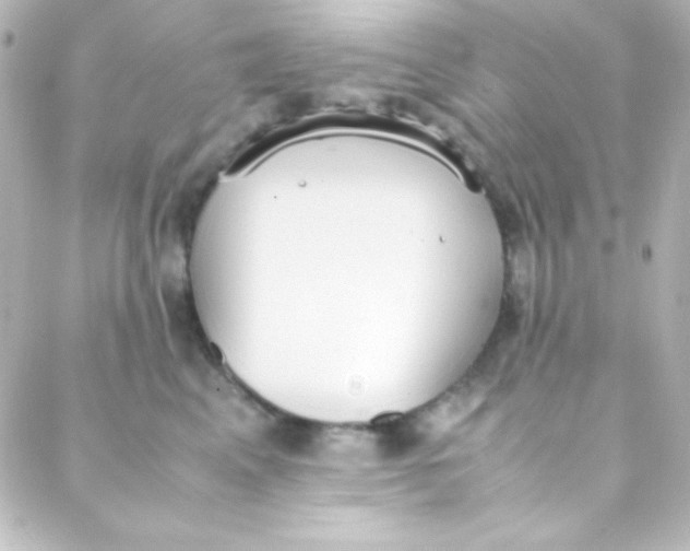 X0000088150617200705291424