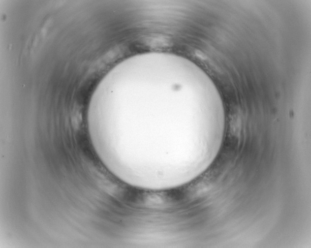 X0000088150618200705291424