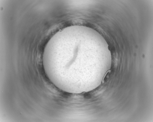 X0000088150619200705291424