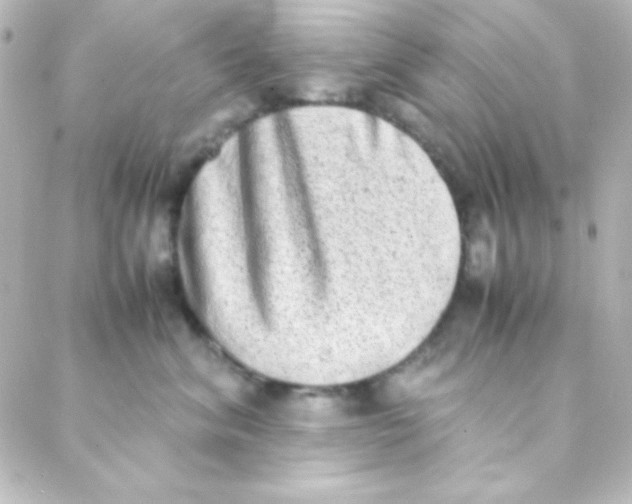 X0000088150620200705291424