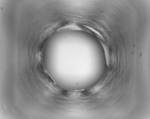 X0000088150621200705291424