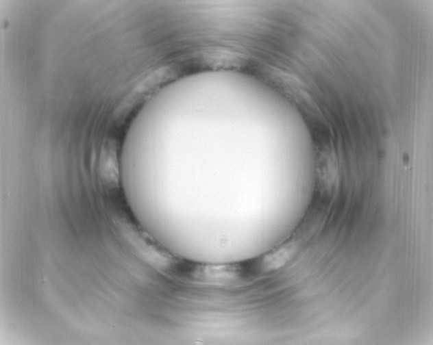 X0000088150622200705291424