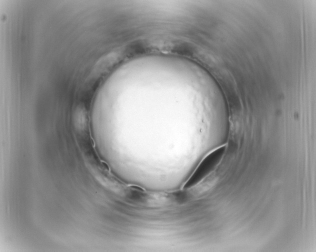 X0000088150623200705291424