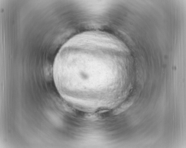 X0000088150624200705291424