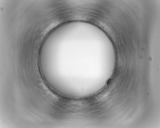 X0000088150625200705291423