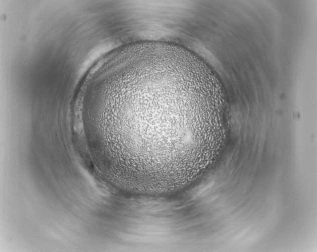 X0000088150626200705291423