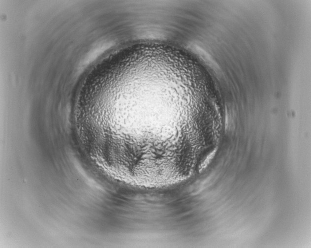 X0000088150627200705291423