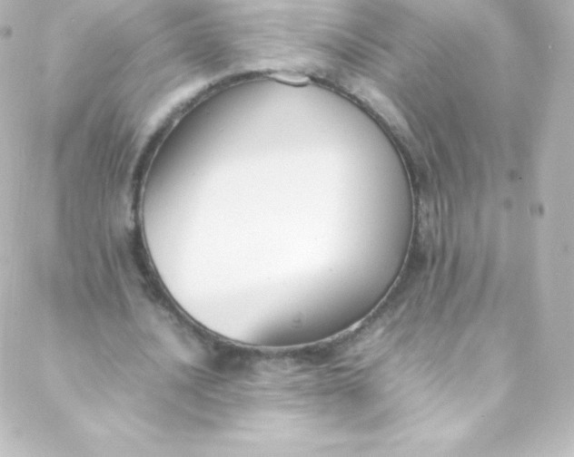 X0000088150628200705291423