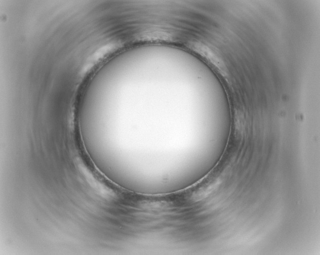 X0000088150629200705291423