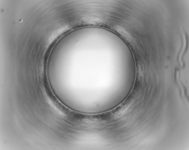 X0000088150630200705291423