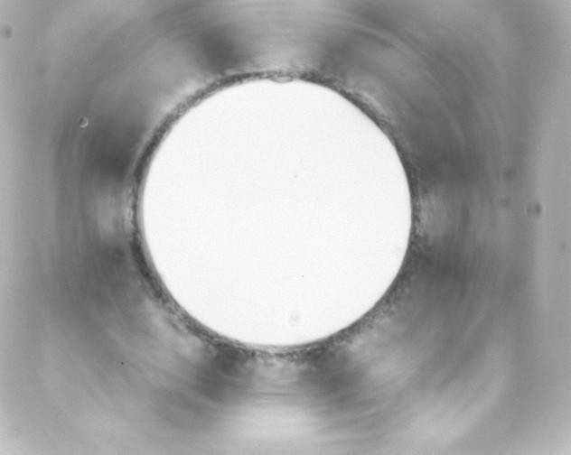 X0000088150632200705291423