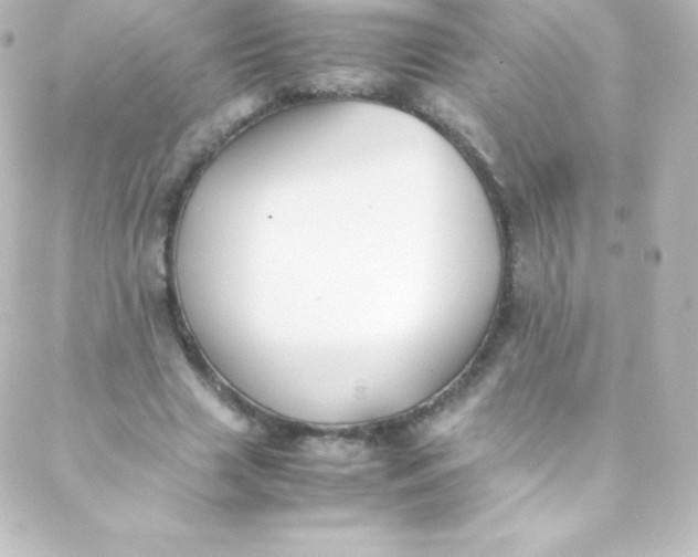 X0000088150633200705291423