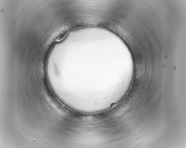 X0000088150634200705291423