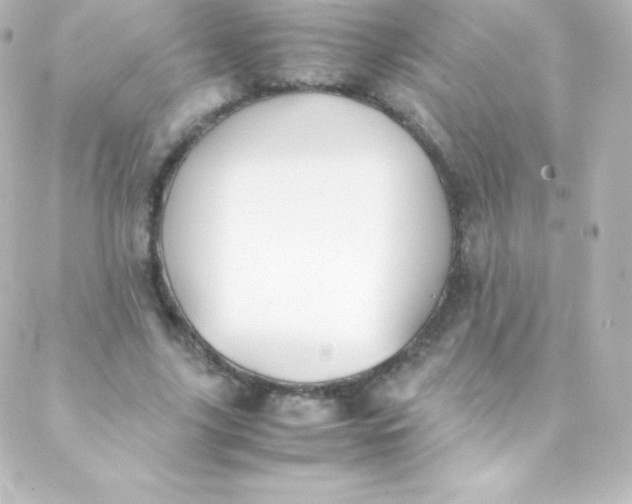 X0000088150635200705291423