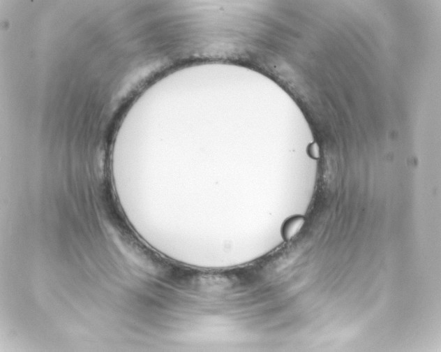 X0000088150636200705291423