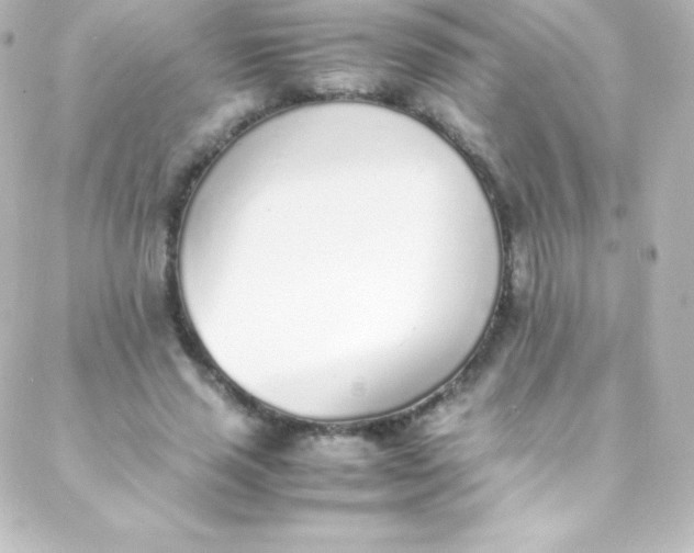 X0000088150637200705291423