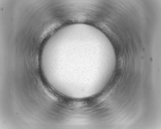 X0000088150638200705291423