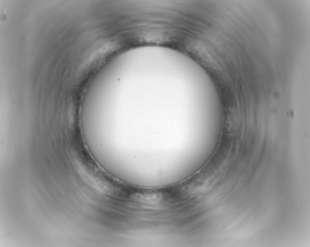 X0000088150639200705291424