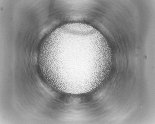 X0000088150640200705291424