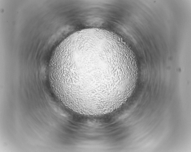 X0000088150641200705291424