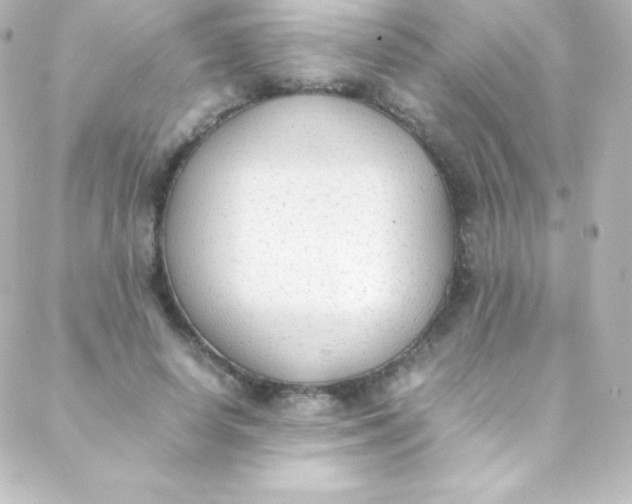 X0000088150642200705291424