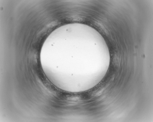 X0000088150643200705291424