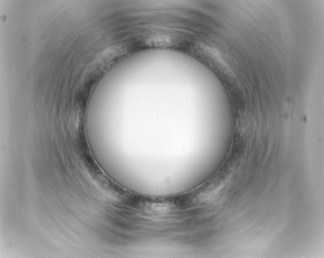 X0000088150645200705291424