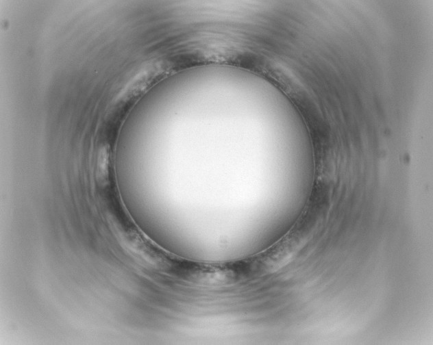 X0000088150646200705291424