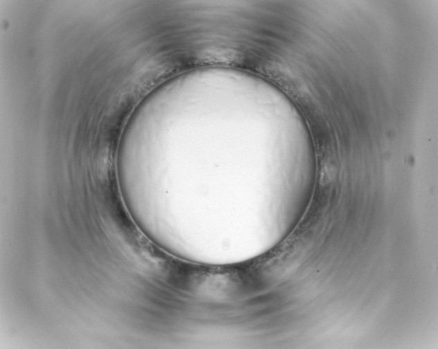 X0000088150647200705291424