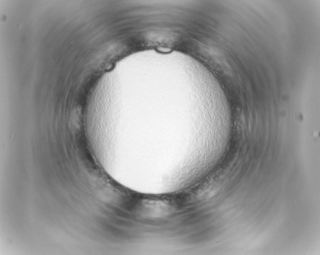 X0000088150649200705291424